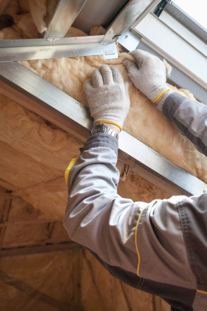Best Blown-in Insulation in Roan Mountain, TN