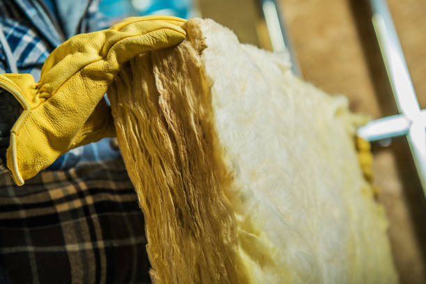 Best Commercial Insulation in Roan Mountain, TN