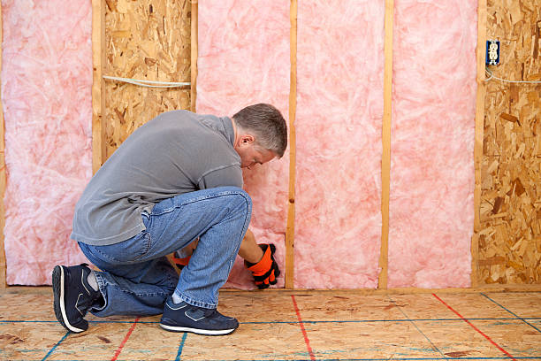 Best Blown-in Insulation in Roan Mountain, TN