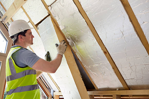 Best Spray Foam Insulation in Roan Mountain, TN