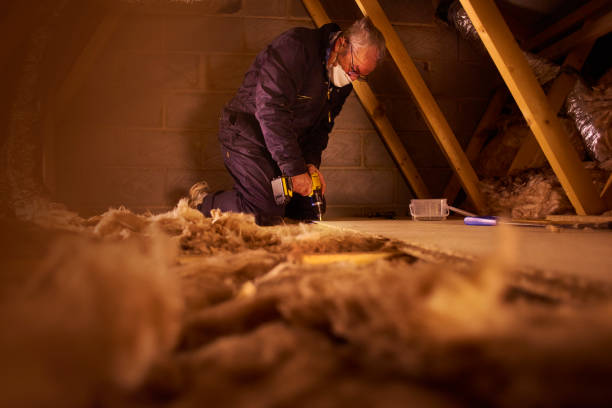 Best Cellulose Insulation in Roan Mountain, TN